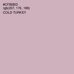 #CFB0BD - Cold Turkey Color Image