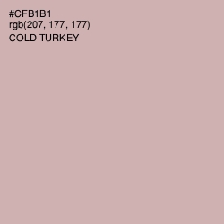 #CFB1B1 - Cold Turkey Color Image