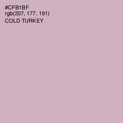 #CFB1BF - Cold Turkey Color Image