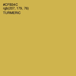 #CFB34C - Turmeric Color Image