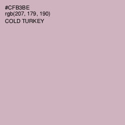 #CFB3BE - Cold Turkey Color Image