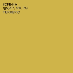 #CFB44A - Turmeric Color Image