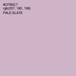 #CFB4C7 - Pale Slate Color Image