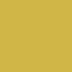 #CFB646 - Turmeric Color Image