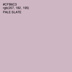 #CFB6C3 - Pale Slate Color Image
