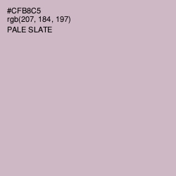 #CFB8C5 - Pale Slate Color Image