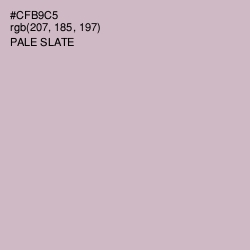 #CFB9C5 - Pale Slate Color Image