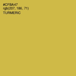 #CFBA47 - Turmeric Color Image