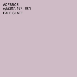 #CFBBC5 - Pale Slate Color Image