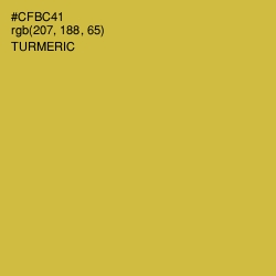 #CFBC41 - Turmeric Color Image