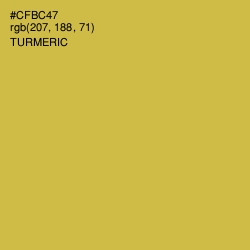 #CFBC47 - Turmeric Color Image
