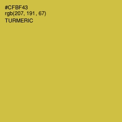 #CFBF43 - Turmeric Color Image