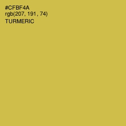 #CFBF4A - Turmeric Color Image