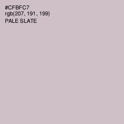 #CFBFC7 - Pale Slate Color Image