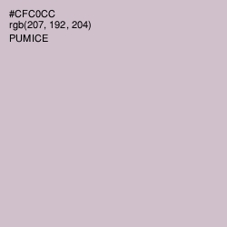 #CFC0CC - Pumice Color Image