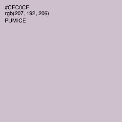 #CFC0CE - Pumice Color Image
