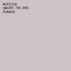 #CFC1C8 - Pumice Color Image