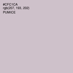 #CFC1CA - Pumice Color Image
