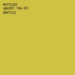 #CFC243 - Wattle Color Image