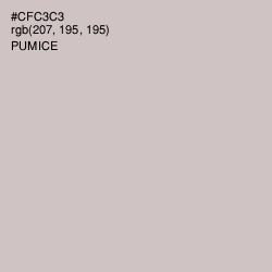 #CFC3C3 - Pumice Color Image