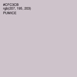 #CFC3CB - Pumice Color Image