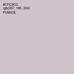 #CFC3CC - Pumice Color Image