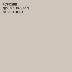 #CFC5BB - Silver Rust Color Image