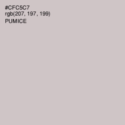 #CFC5C7 - Pumice Color Image