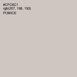 #CFC6C1 - Pumice Color Image