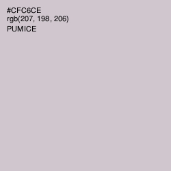 #CFC6CE - Pumice Color Image