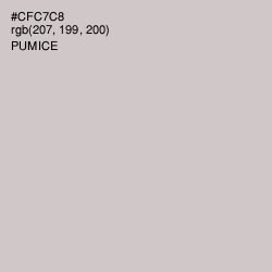 #CFC7C8 - Pumice Color Image