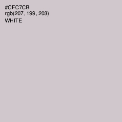 #CFC7CB - Pumice Color Image