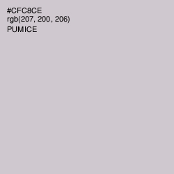 #CFC8CE - Pumice Color Image