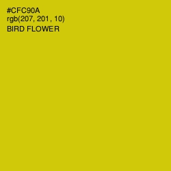 #CFC90A - Bird Flower Color Image