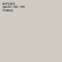 #CFCAC2 - Pumice Color Image