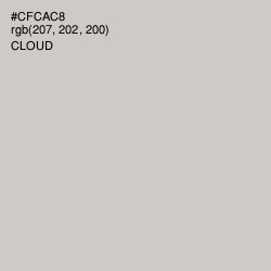 #CFCAC8 - Pumice Color Image