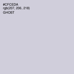 #CFCEDA - Ghost Color Image