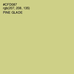 #CFD087 - Pine Glade Color Image