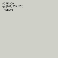 #CFD1C9 - Tasman Color Image