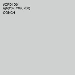 #CFD1D0 - Conch Color Image