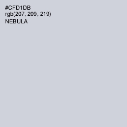 #CFD1DB - Nebula Color Image