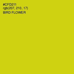 #CFD211 - Bird Flower Color Image