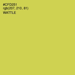 #CFD251 - Wattle Color Image
