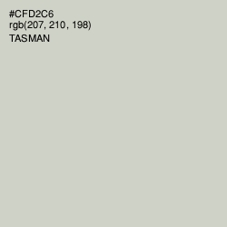 #CFD2C6 - Tasman Color Image