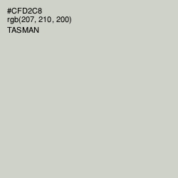 #CFD2C8 - Tasman Color Image