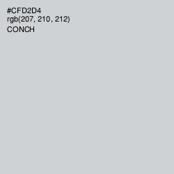#CFD2D4 - Conch Color Image