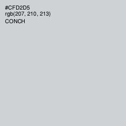 #CFD2D5 - Conch Color Image