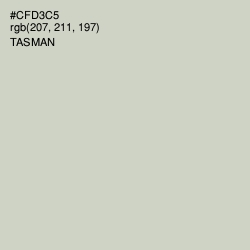 #CFD3C5 - Tasman Color Image