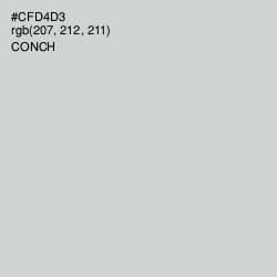 #CFD4D3 - Conch Color Image