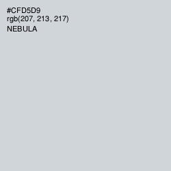 #CFD5D9 - Nebula Color Image